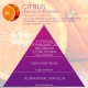 <B>CITRUS</B> BOWL CLIP zawieszka zapachowa do toalety